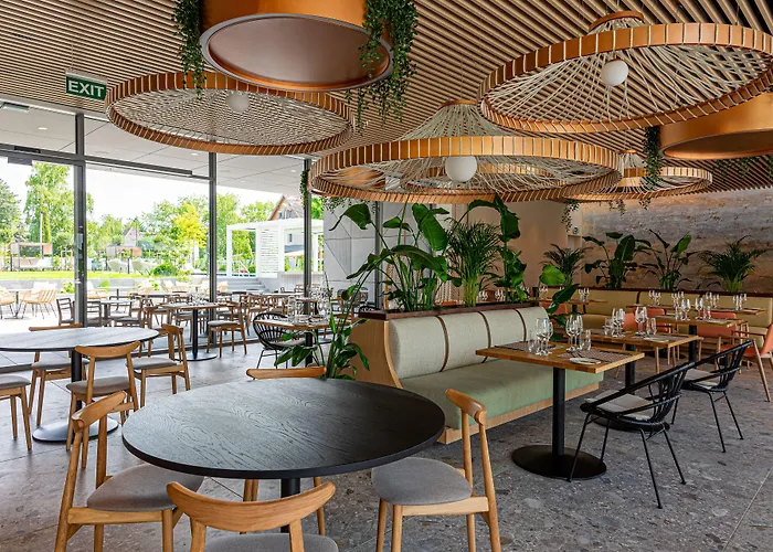 מלון Reed Boutique & Bistro 5*